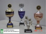 [hff silver tulip plus 02041.JPG]